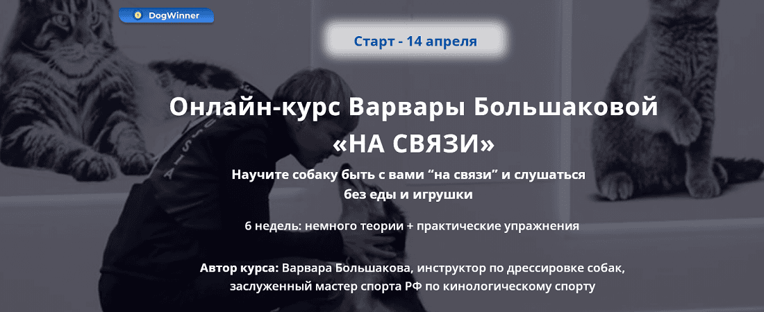 [DogWinner] [Варвара Большакова] На связи (2025)