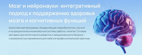 [УОМ] Мозг и нейронауки. Модуль 1. Биоархитектура мозга (2025)