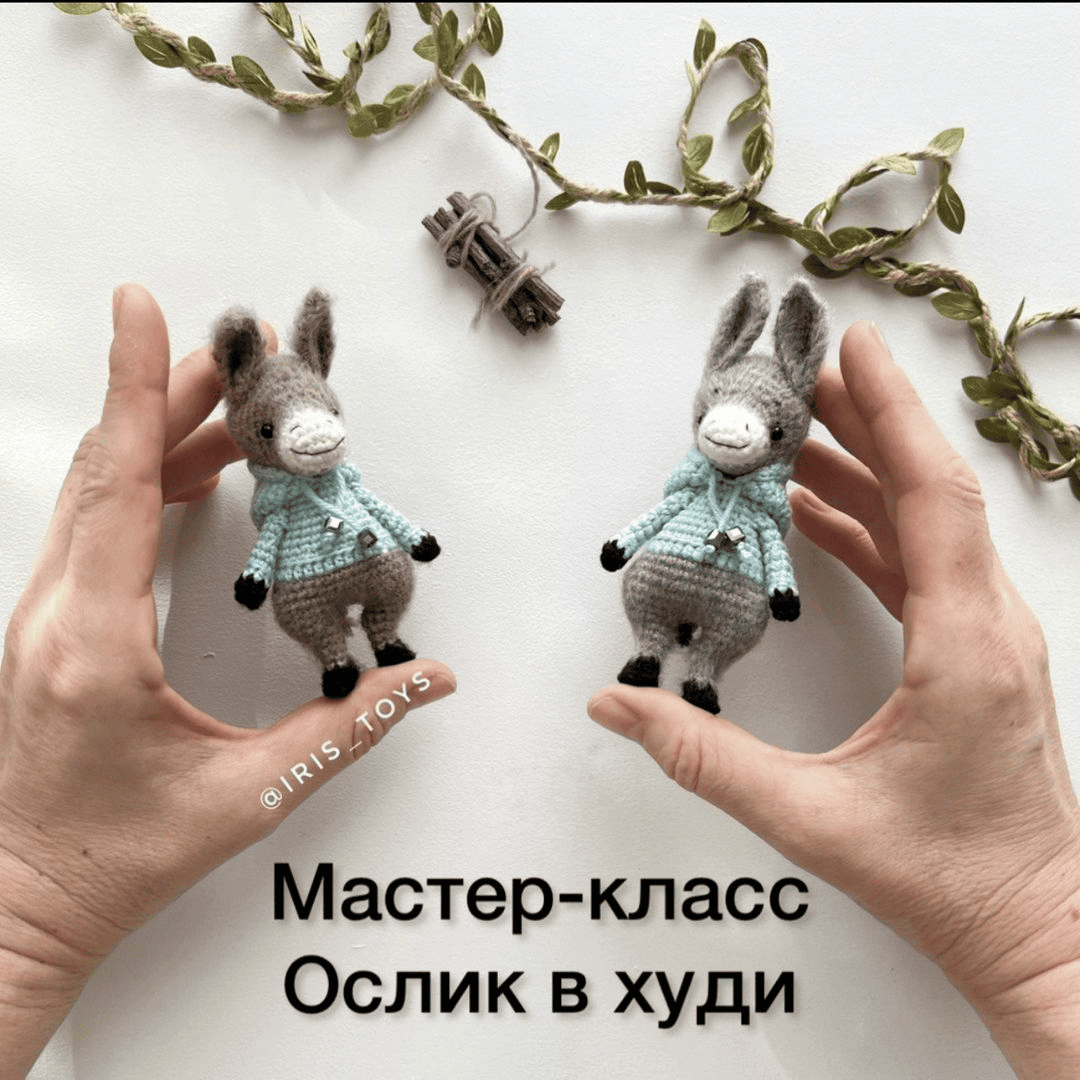 [Iris_Toys, Ирина Ни] МК Ослик в худи (2025)