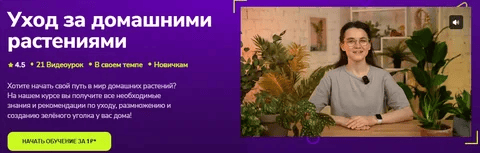 [TutorPlace, Мария Кузнецова] Уход за домашними растениями (2025)