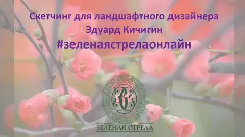 [Зеленая стрела] [Эдуард Кичигин] Скетчинг для ландшафтного дизайнера (2021)