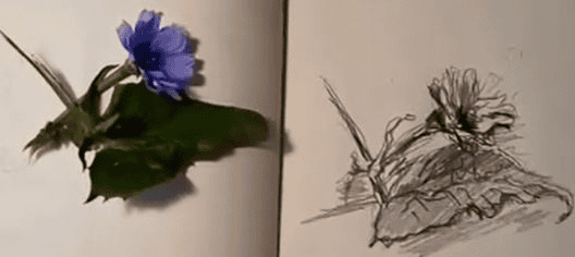 [Наталья Коневец] Быстрый скетч карандашом (2026)