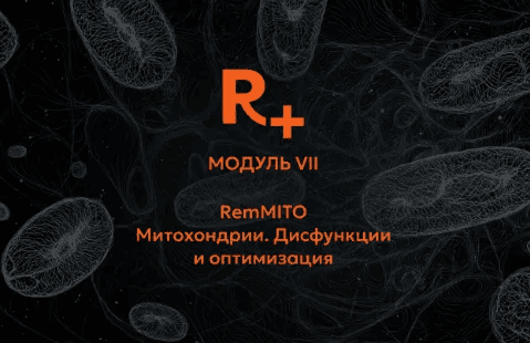[Remee+, Владимир Попов] R+. Модуль 7. РемМИТО (RemMITO). Митохондрии. Дисфункции и оптимизация (2026)
