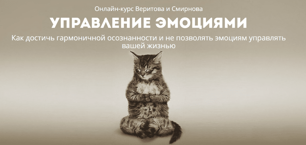 [Веритов, Смирнов] Управление эмоциями (2018)