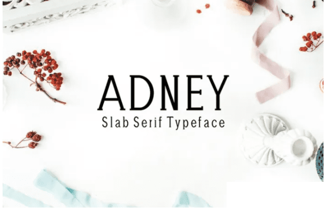 [Fontbundles] Adney Font (2021)