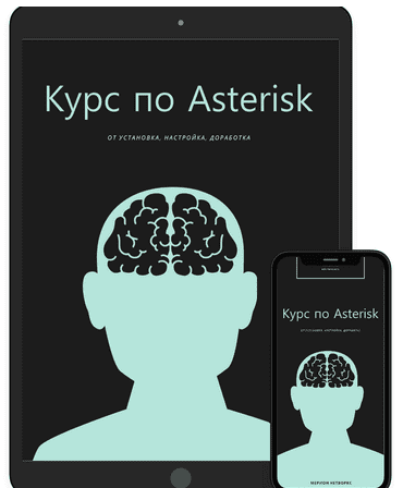 [Мерион Нетворкс] Двухнедельный онлайн курс по Asterisk (2021)