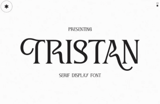 [Fontbundles] Tristan Font (2021)