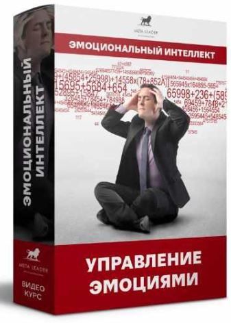Эмоциональный интеллект-управление эмоциями [Кирилл Прищенко]