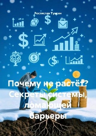 Почему не растёт? Секреты системы, ломающей барьеры [Ростислав Тункин] + Законы денег [Иван Крохов]