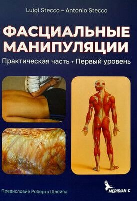 Фасциальные манипуляции [Антoниo Стеккo, Луиджи Cтeккo]
