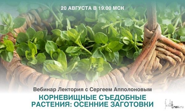 Корневищные съедобные растения: осенние заготовки [Сергей Апполонов]