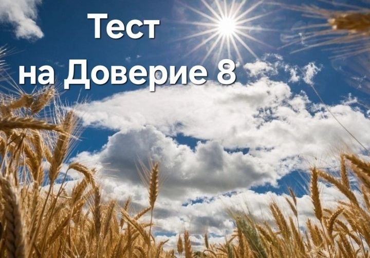 [Шитье] Тест на доверие 8 [Тариф Вслепую] [Сумочный Рай] [Светлана Костина]