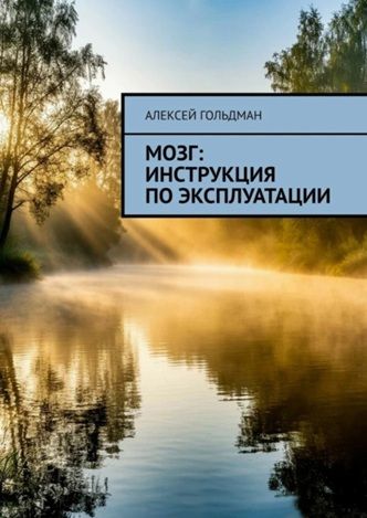 Мозг: Инструкция по эксплуатации [Алексей Гольдман]