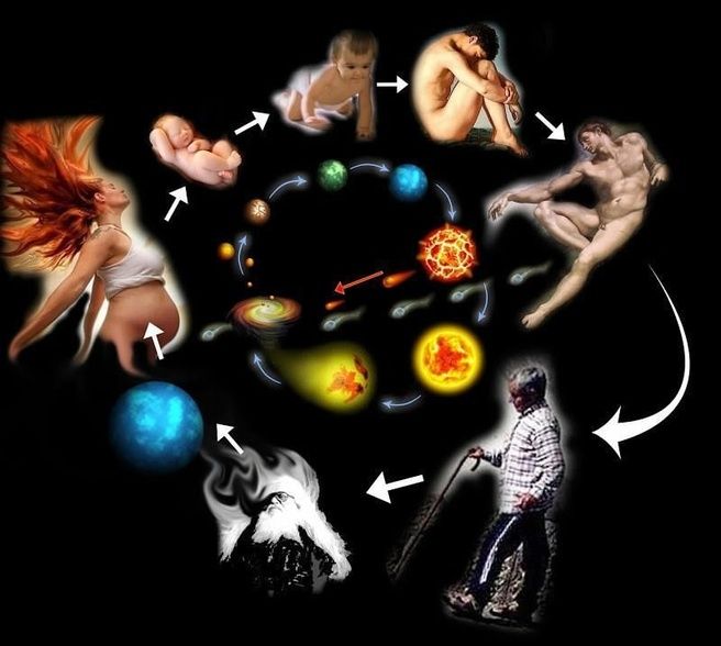 [Мария Гнатовская] Фаза Ци: спрятанная инструкция к вашей жизни (2025)