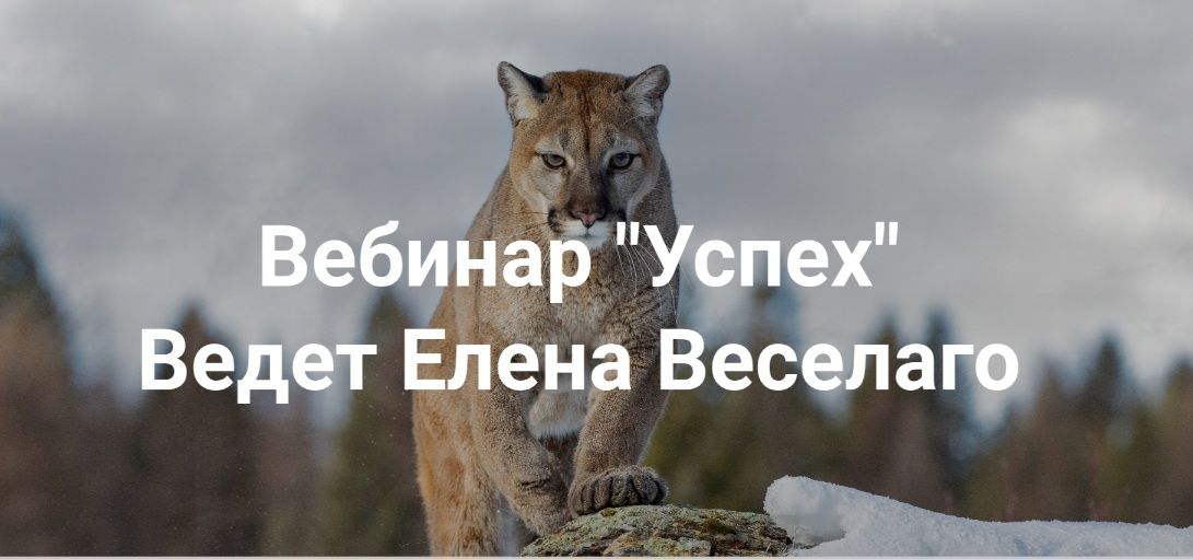 Успех [Институт Открытого поля] [Елена Веселаго]