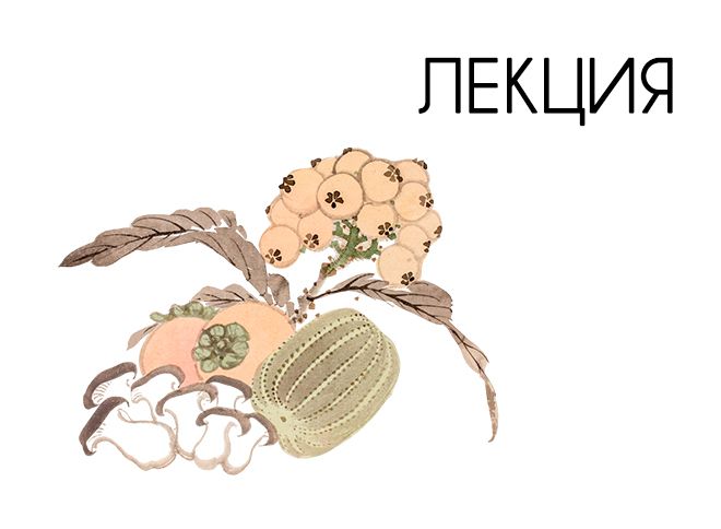 Одежда и ткани Узбекистана [Музей Востока] [Екатерина Ермакова]