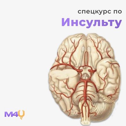 Спецкурс по инсульту [Medforyou - школа медицины]