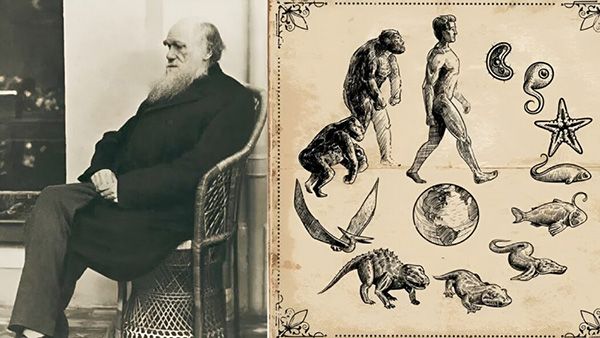 История Чарлза Дарвина и его идей. Лекция 5. Этюд в коричневых тонах [Архэ] [Максим Винарский]
