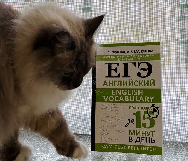 Комплект ЕГЭ English Vocabulary + весь открытый банк заданий ЕГЭ от ФИПИ [Светлана Орлова]