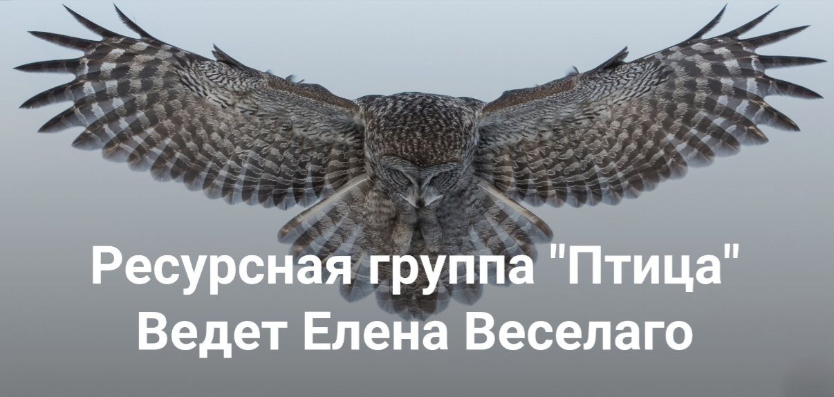 Ресурсная группа "Птица". Получение помощи предков в любых делах [Институт Открытого Поля] [Елена Веселаго]