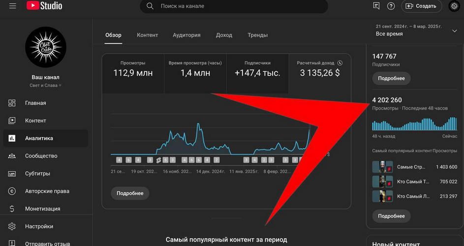Обучение по видео шортс и нейронкам [Владимир Степанец]