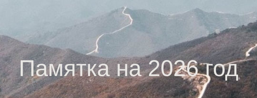 [Юлия Бальсина] Памятка на 2026 год (2025)
