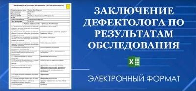 Конструктор заключения дефектолога (школа, детский сад) [Татьяна Тверитинова]