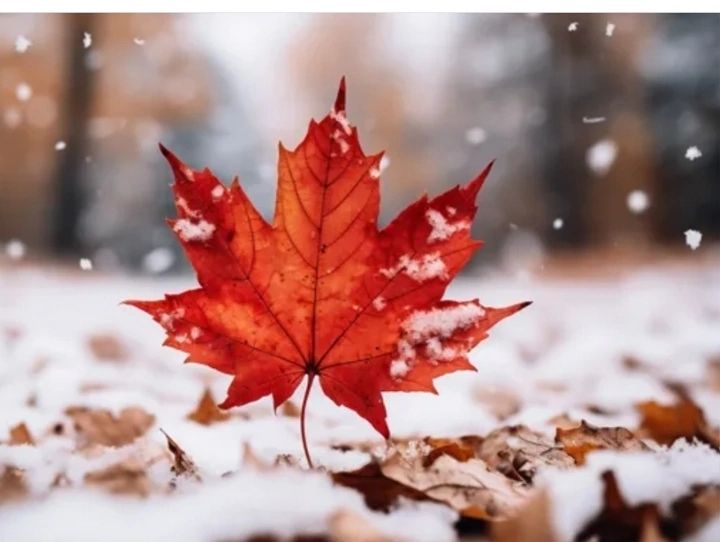 [Клуб] ИИ Академия S2: Глубже, пра[Клуб] ИИ Академия S2: Глубже, практичнее, вместе + AI Бот[Клуб] ИИ Академия S2: Глубже, практичнее, вместе + AI Бот