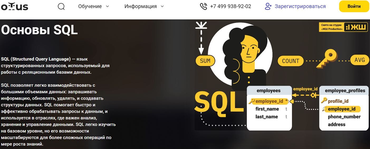 Подготовительный курс основы SQL [2025] [OTUS] [Анастасия Чекушина]