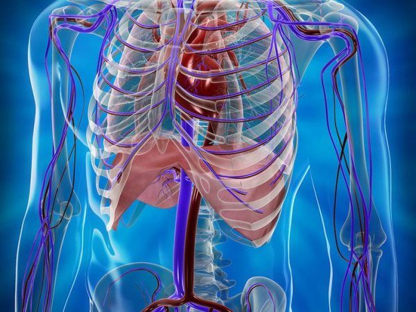 Тропы здоровья. Профилактика и целительство внутренних органов [Янина Шляпникова]