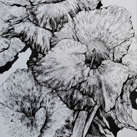 Цветы в графике [enterclass] [Анна Чепурная-Олейник]