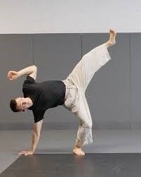 "Мягкая" Акробатика / On Soft Acrobatics: Fundamentals & Beyon (Online Course) [Human Animal] [Stefan Crainic]