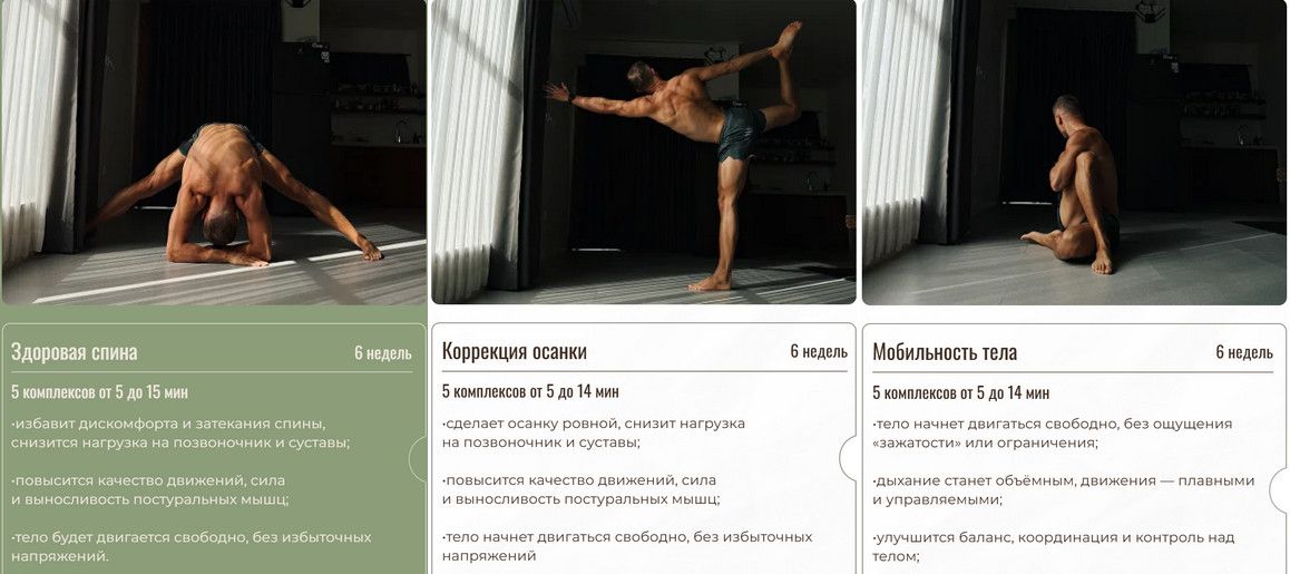 Оздоровительные комплексы: Здоровая спина, Коррекция осанки, Мобильность тела [Евгений Москалёв]