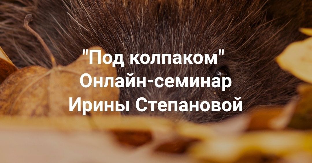 [Ирина Степанова] Под колпаком. Травма невидимости. Меня не замечают. Не получается составить отношения (2025)