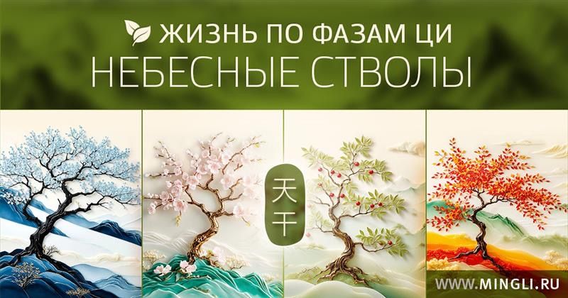 Жизнь по фазам Ци. Небесные стволы [Тариф Все сам] [Елена Фролова]