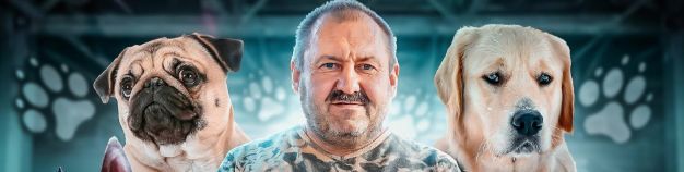 Дрессировка собаки в домашних условиях. Основы [Евгений Боско]