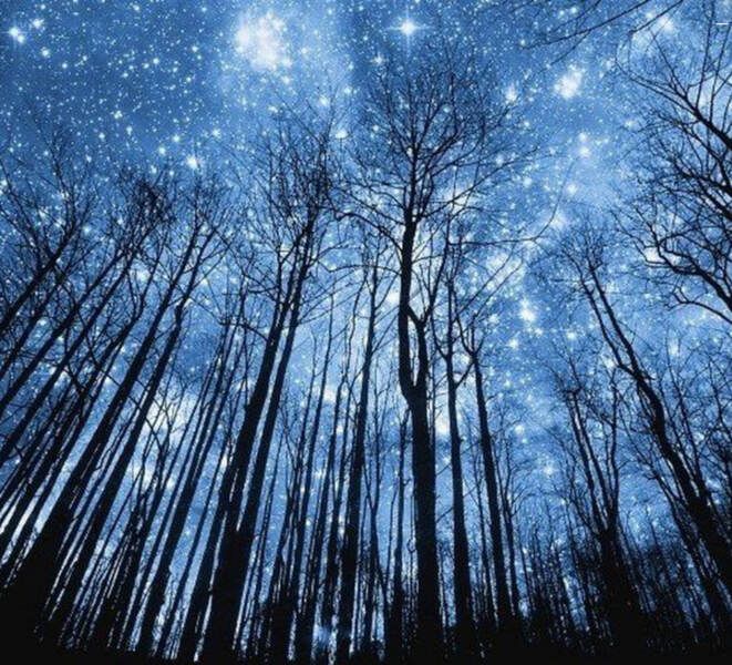 Астрология налегке (ноябрь-декабрь 2025) [Тариф Очарованный небом] [Анна Староминская, Константин Дараган]