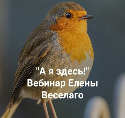 А я здесь! Вебинар о причинах "невозможности жить" и процессах возвращения к жизни [Институт Открытого поля] [Елена Веселаго]