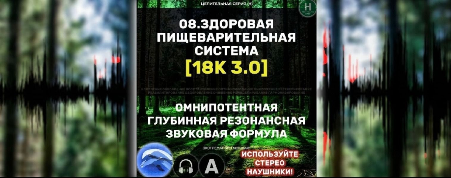 Пищеварительная Система 3.0 [Алхимия дельфина]