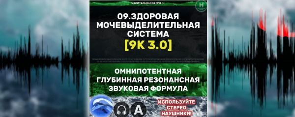 Мочевыделительная Система 3.0 [Алхимия дельфина]