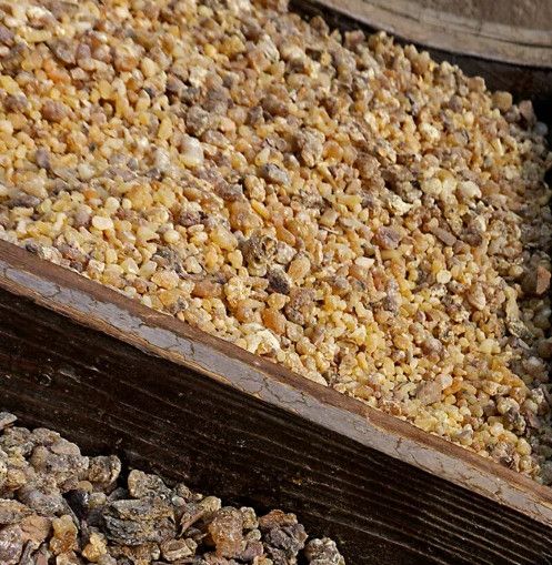 [Парфюмерия] Смолистые сокровища: ладан, мирра, лабданум [Анна Зворыкина]