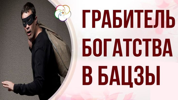 Грабитель богатства: враг или скрытый ресурс? [Светлана Мостовская]