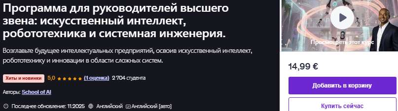 Программа для руководителей высшего звена: искусственный интеллект, робототехника и системная инженерия [Udemy] [School of AI]