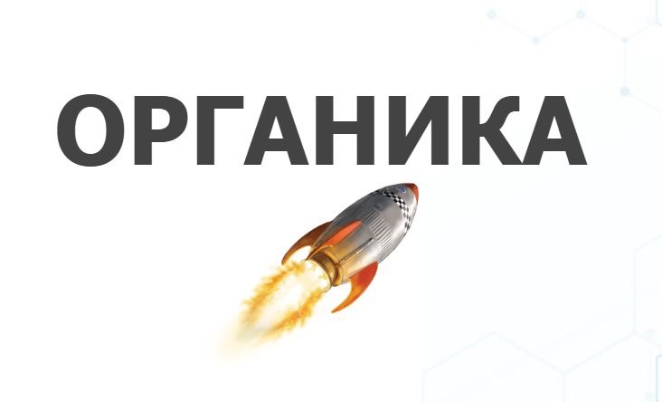 Курс "Органический Трафик" [Илья Волк]