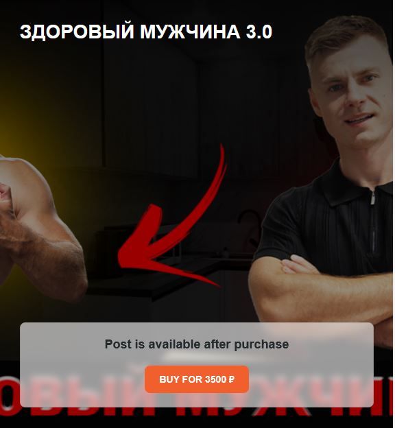 Здоровый мужчина 3.0 [Андрей Егоров]