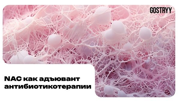 NAC как адьювент антибиотикотерапии [Андрей Гострый]