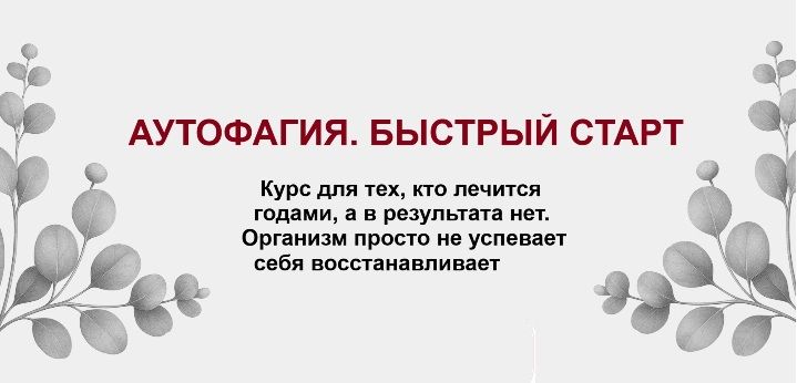Аутофагия. Быстрый старт [Дамира Баймирзаева] Аутофагия. Быстрый старт