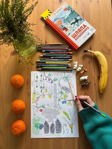 Шляпа волшебника [Алина Чабуткина]