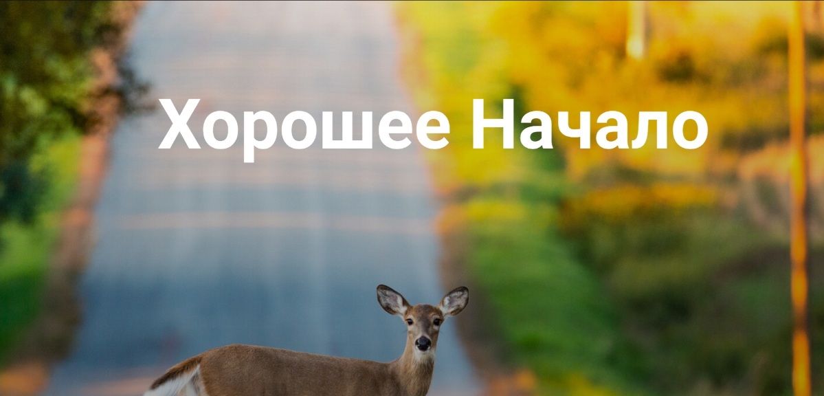 [Институт Открытого поля] [Елена Веселаго] Хорошее начало (2026)