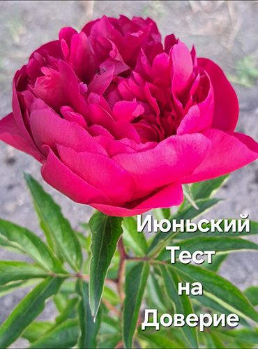 [Шитье] Тест на доверие 6 [Сумочный Рай] [Светлана Костина]